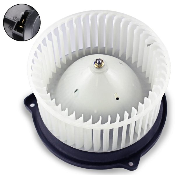 BX00700002-1-2 BX00700002-1-2