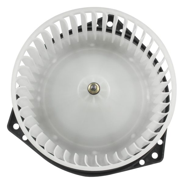 BX00700010-1-2 BX00700010-1-2