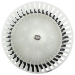 BX00700015-1 _1