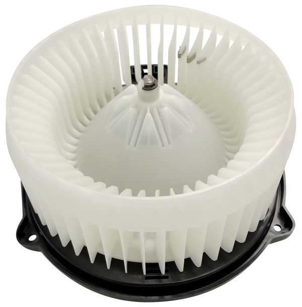 BX00700019-1-2 BX00700019-1-2