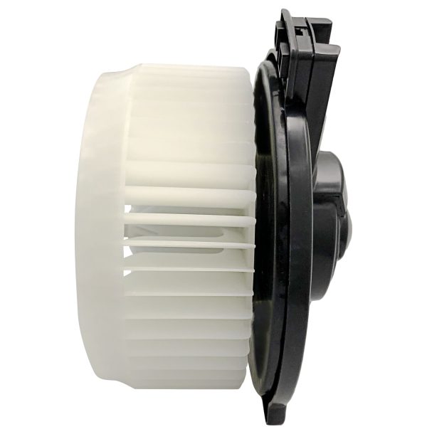 BX00700019-1-5 BX00700019-1-5