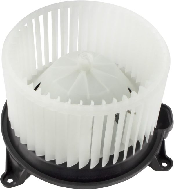 BX00700029-1-2 BX00700029-1-2