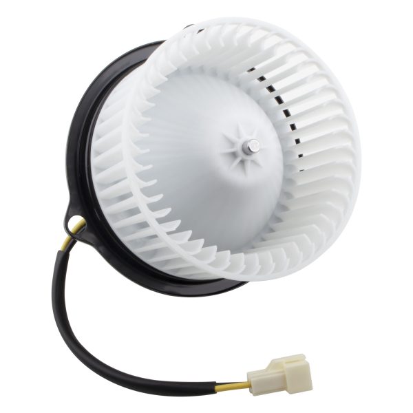 BX00700031-1-2 BX00700031-1-2