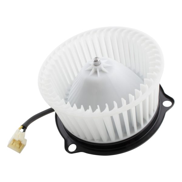 BX00700031-1-3 BX00700031-1-3