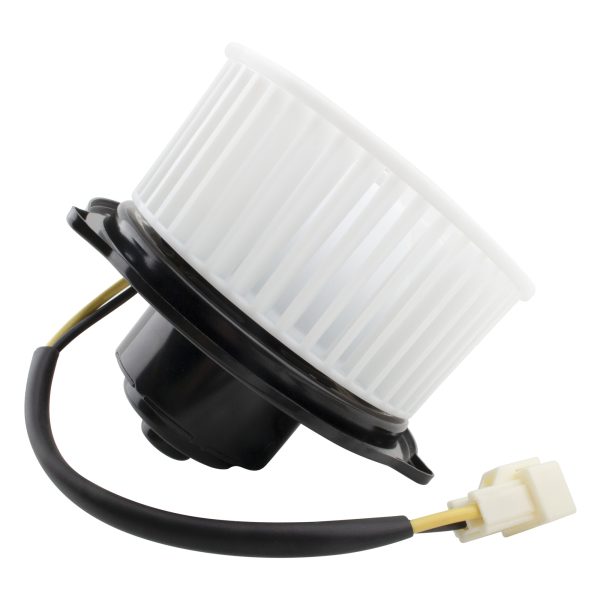 BX00700031-1-6 BX00700031-1-6