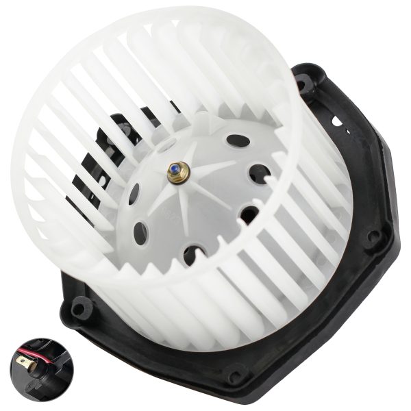 BX00700032-1-2 BX00700032-1-2