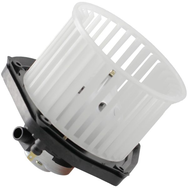 BX00700032-1-6 BX00700032-1-6