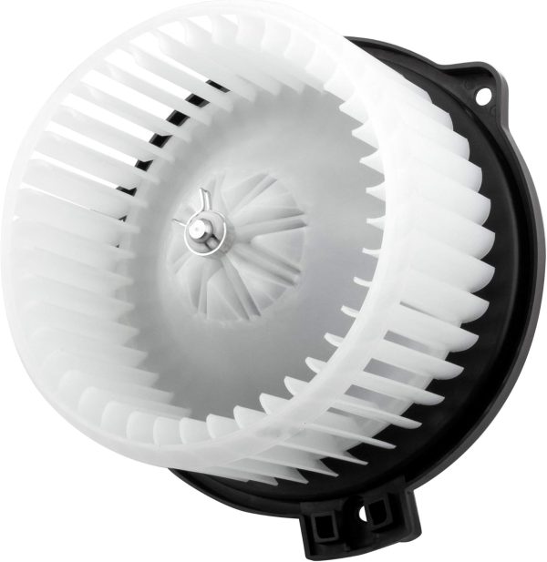 BX00700036-1-5 BX00700036-1-5