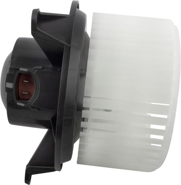 BX00700044-1-7 BX00700044-1-7