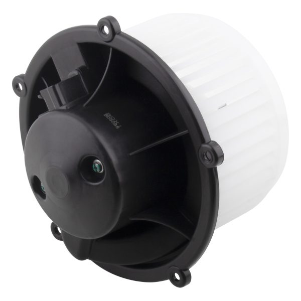 BX00700048-1-2 BX00700048-1-2