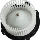 BX00700059-1-1