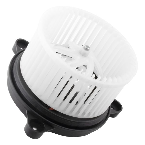 BX00700061-1-2 BX00700061-1-2