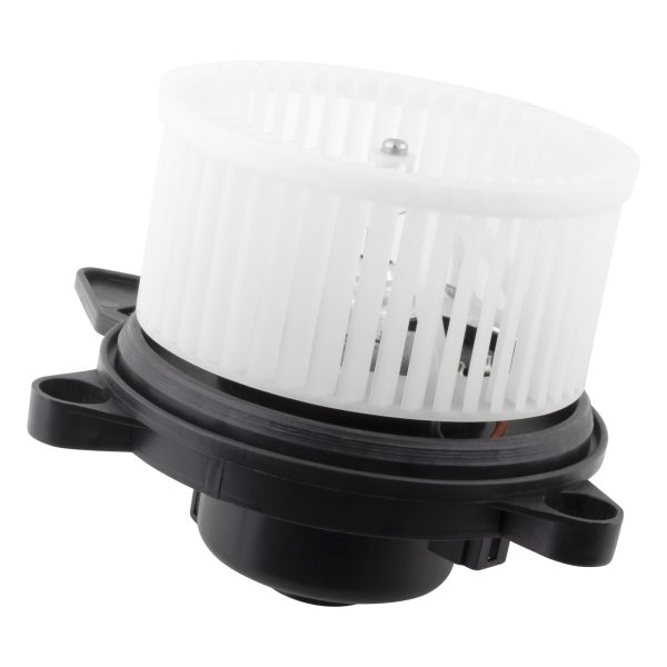 BX00700061-1-4 BX00700061-1-4