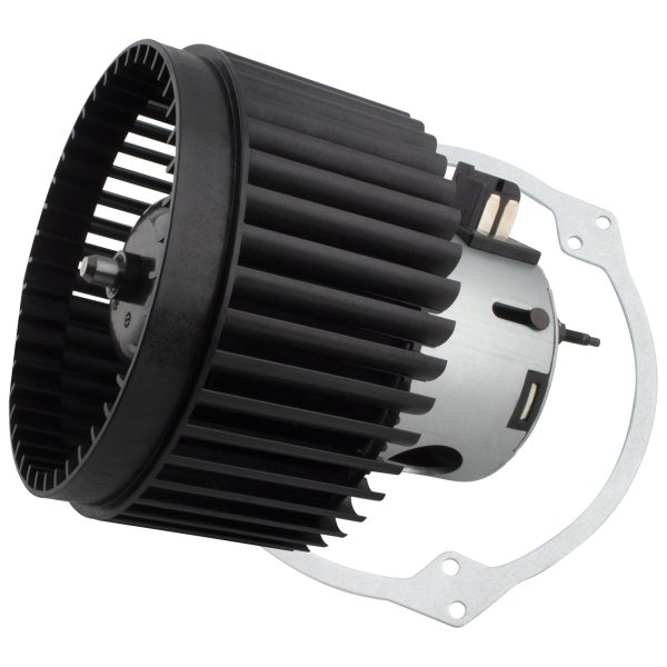 BX00700064-1_7 BX00700064-1_7