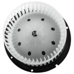 BX00700070-1-6