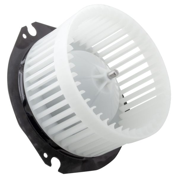 BX00700071-1-2 BX00700071-1-2