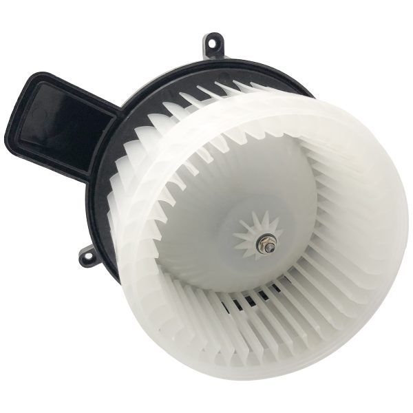 BX00700075-1-6 BX00700075-1-6