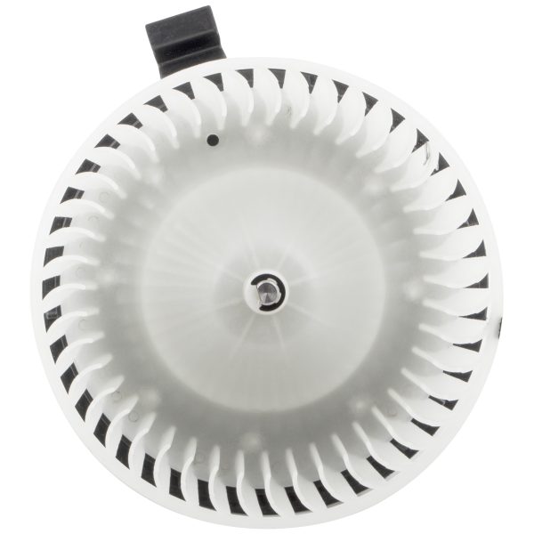BX00700087-1-1