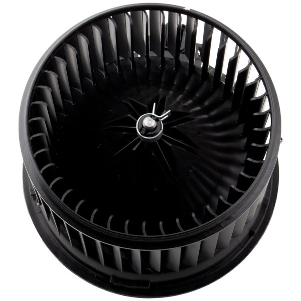 BX00700091-1-1
