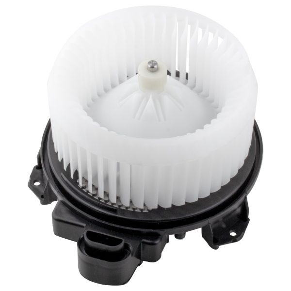 BX00700092-1-2 BX00700092-1-2