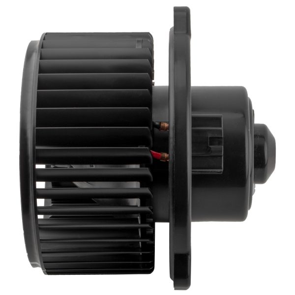 BX00700094-1-3 BX00700094-1-3