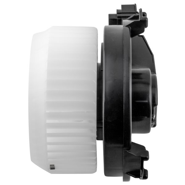 BX00700095-1-3 BX00700095-1-3