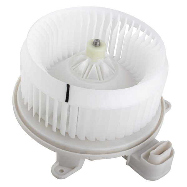 BX00700096-1-2 BX00700096-1-2