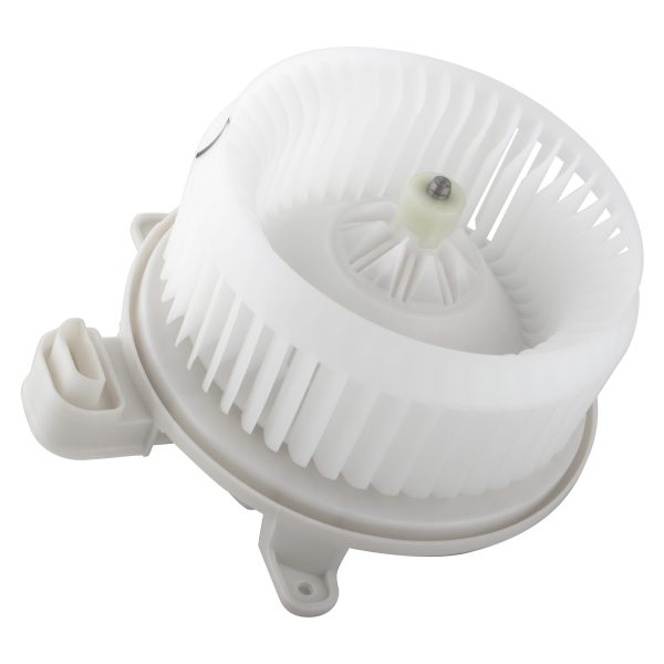 BX00700096-1-6 BX00700096-1-6