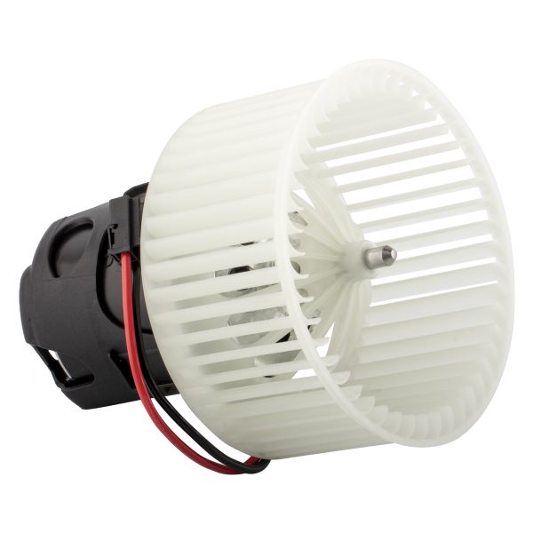 BX00700097-1-2 BX00700097-1-2