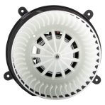 BX00700099-1-1