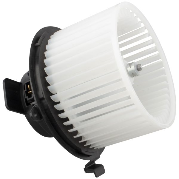 BX00700116-1-2 BX00700116-1-2