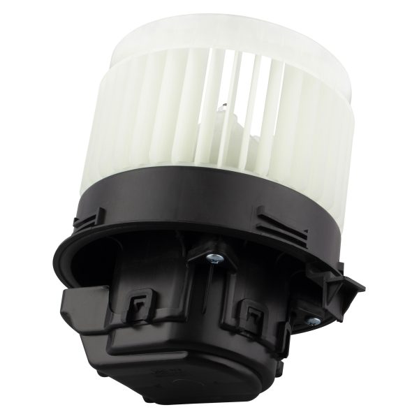 BX00700123-1-5 BX00700123-1-5