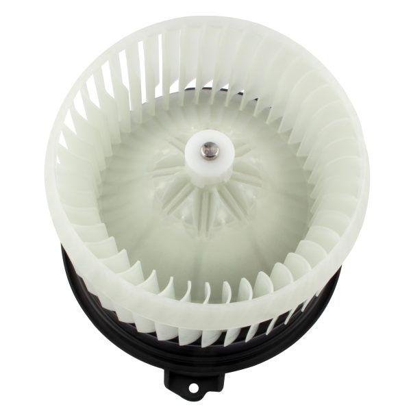 BX00700125-1-3 BX00700125-1-3