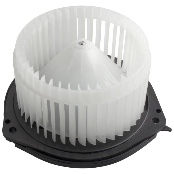 BX00700137-1_2 BX00700137-1_2