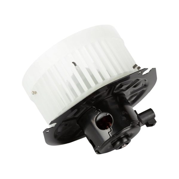 BX00700154-1_1 BX00700154-1_1