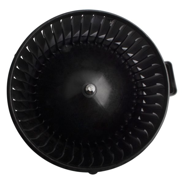 BX00700164-1_5 BX00700164-1_5