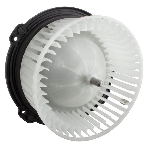 BX00700177-1_7 BX00700177-1_7