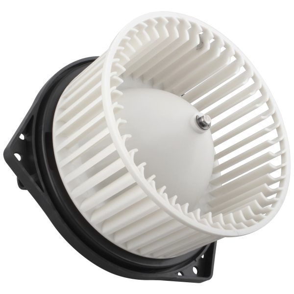 BX00700202-1_2 BX00700202-1_2