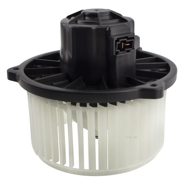 BX00700207-1_7 BX00700207-1_7