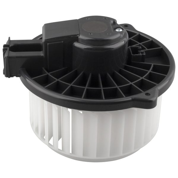 BX00700208-1_2 BX00700208-1_2