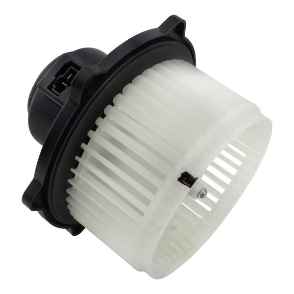 BX00700211-1_6 BX00700211-1_6