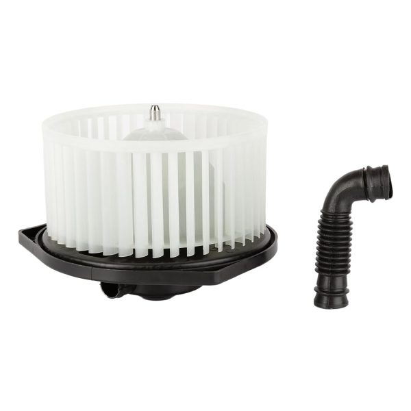 BX00700218-1_1 BX00700218-1_1