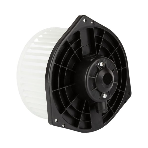 BX00700218-1_2 BX00700218-1_2