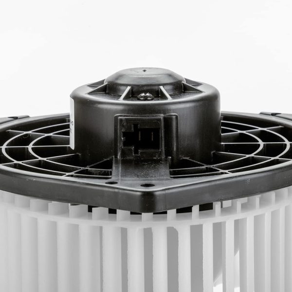 BX00700218-1_3 BX00700218-1_3