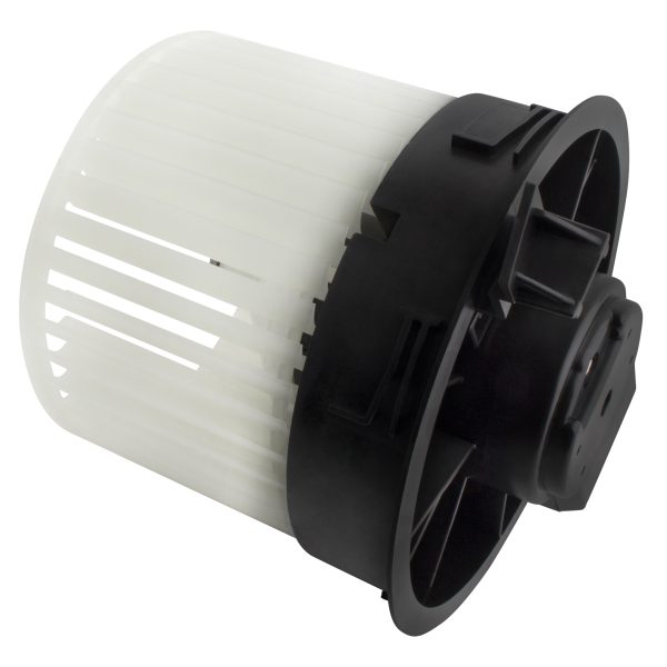 BX00700219-1_5 BX00700219-1_5