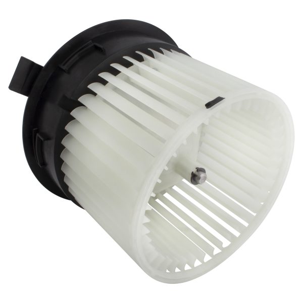 BX00700219-1_6 BX00700219-1_6