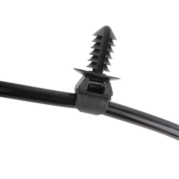 BX02800241-1_7 BX02800241-1_7