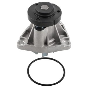 BOXI Water Pump BX03600043-1