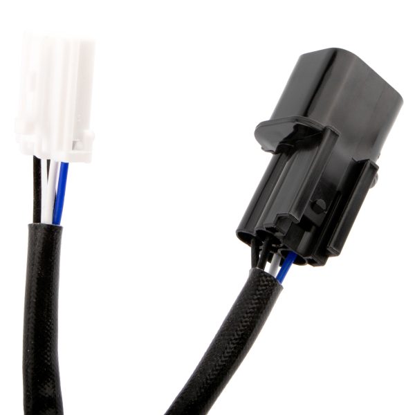 BX03800012-2_5 BX03800012-2_5