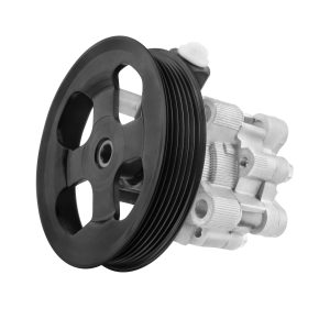 BOXI Power Steering Pump BX06600048-1